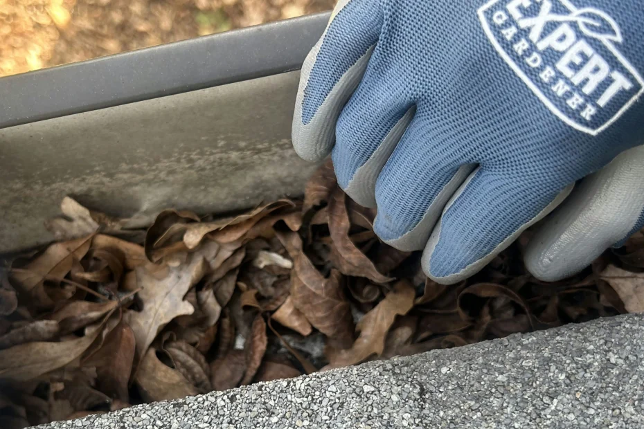 Gutter Cleaning Channelview, TX