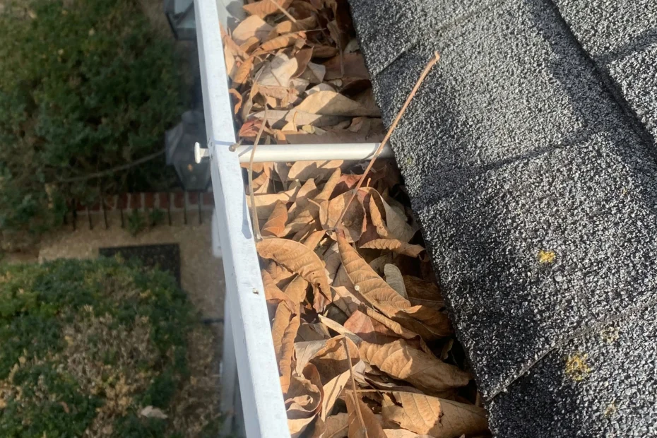 Gutter Cleaning Channelview, TX